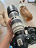 佳能\Canon EF70-200 二手單反鏡頭全畫(huà)幅鏡頭胖白 小白三代中長(cháng)焦遠攝變焦紅圈 人像鏡頭 70-200F2.8 IS II 愛(ài)死小白兔 防抖 99新 曬單實(shí)拍圖