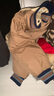 巴拉巴拉兒童羽絨服男童裝冬裝學(xué)院風(fēng)棒球服外套潮款上衣舒適戶(hù)外 咖色調00455-灰鴨絨 110 （充絨量39g） 曬單實(shí)拍圖