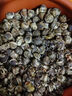 阿一波幼嫩紫菜100g 頭水無(wú)沙 福建特產(chǎn)干貨海帶蝦皮紫菜蛋花湯海苔食材 曬單實(shí)拍圖