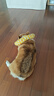 皇家狗糧 成犬狗糧 犬糧 寵物 中型犬 M25 全價(jià)犬糧 12月 15KG 曬單實(shí)拍圖