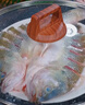 鮮京采三去海鱸魚(yú)3斤/3條 生鮮魚(yú)類(lèi) 白蕉鱸魚(yú)地標 無(wú)冰凈重3斤 源頭直發(fā) 曬單實(shí)拍圖