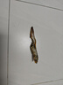 約克先生寵物零食凍干深海魚(yú)小魚(yú)干狗狗高鈣貓咪發(fā)腮多籽多春魚(yú) 50g 曬單實(shí)拍圖