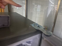 Heiai家用冰箱小型一級能效雙開門冷藏冷凍保鮮小戶型租房三開門升級微凍室低音降噪大容量 【頂配容量】228升-228S278下冷凍上冷藏 曬單實拍圖