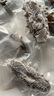 鮮京采大連即食海參 1斤 10-16只 固形物75% 京東自營(yíng) 海鮮 曬單實(shí)拍圖