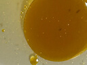 碧生源 奧利司他膠囊0.12g*21粒/盒*2盒 用于肥胖或體重超重患者(體重指數>24)的治療 曬單實(shí)拍圖