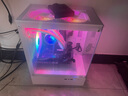 速度玩家英特爾酷睿i7升十八核4060電競獨顯組裝臺式機電腦主機游戲辦公Ai設計師整機全套 單主機 G：i9級36核芯4K電競頂配丨1T丨4060獨顯 曬單實(shí)拍圖
