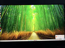 三星（SAMSUNG）玄龍騎士G5 27英寸2K電競(jìng) 1000R曲面 快速液晶1ms響應(yīng) HDR顯示器 2K/180Hz/IPS直面/HDR400/1ms 曬單實(shí)拍圖