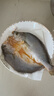 翔泰 海南金鯧魚(yú)凈重900g 2條裝  魚(yú)類(lèi)生鮮 火鍋食材 海鮮水產(chǎn) 中秋 曬單實(shí)拍圖