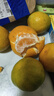 兀果語(yǔ)2025年云南密桔酸桔子當季薄皮橘子孕婦新鮮水果爆汁無(wú)核青 2斤 曬單實(shí)拍圖