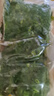 【農(nóng)村最鮮】春天里薺菜農(nóng)家野菜薺菜速凍薺菜水餃餛飩餡新 整顆【當(dāng)季新菜2斤】特惠家庭裝 曬單實拍圖