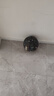 EVERVON 籃球成人比賽訓練室內外兼用耐磨 閃電花紋校園團購款 7號防滑橡膠籃球自營(yíng)EBX-7011 曬單實(shí)拍圖