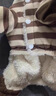 阿莫爾狗狗衣服秋冬款帶牽引扣卡通背帶褲泰迪比熊博美保暖加厚四腳衣 咖色小熊 S 曬單實(shí)拍圖