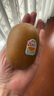 佳沛（zespri）新西蘭  陽(yáng)光金果10粒巨大果單果約144-175g 中秋水果禮盒 獼猴桃 曬單實(shí)拍圖