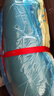 藍(lán)盒子薄墊小藍(lán)墊記憶棉床墊學(xué)生租房宿舍床褥子墊子榻榻米60藍(lán)0.9*1.9m 曬單實(shí)拍圖