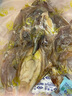 傾海之宴 精選墨魚(yú)干 S3 200g 淡曬目魚(yú)干烏賊干 海鮮特產(chǎn)海產(chǎn)品干貨 曬單實(shí)拍圖