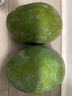 京鮮生 攀枝花凱特芒果 凈重4.5斤 帶箱5斤 單果400g+ 生鮮水果源頭直發(fā) 曬單實(shí)拍圖