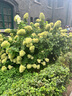 維達（Vinda）洗臉巾 120抽*單提 一次性毛巾洗臉巾 懸掛式加厚潔面擦臉巾 曬單實(shí)拍圖