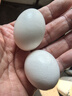 【源頭工廠】新鮮鴿子蛋寶寶孕婦水煮蛋超市新鮮即食禮盒早餐生鮮 30枚鴿子蛋 曬單實(shí)拍圖