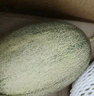 京鮮生 新疆哈密瓜/西州蜜 2粒裝 凈重5-7斤 單果2.5斤起 生鮮水果禮盒 曬單實拍圖