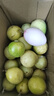 果益壽廣西欽蜜9號(hào)黃金百香果 新鮮水果白香果醬原漿整箱 30個(gè)裝 嘗鮮果【單果30g以下】 曬單實(shí)拍圖