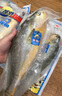三都港 冷凍寧德大黃魚(yú)700g/2條裝 黃花魚(yú) 生鮮魚(yú)類 深海魚(yú) 燒烤 曬單實(shí)拍圖