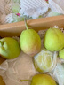 順豐陜西紅香酥梨10斤當(dāng)季新鮮水果現(xiàn)摘脆甜香梨子紅梨秋月梨蜜梨 凈重3斤【順豐快遞/現(xiàn)摘現(xiàn)發(fā)】 曬單實(shí)拍圖