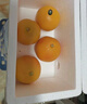 京鮮生 福建紅心西柚4粒裝 單果250-400g 中秋水果柚子 源頭直發(fā)包郵 曬單實(shí)拍圖