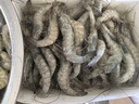 賣(mài)魚(yú)郎先生蝦 青島鹽凍大蝦凈重3.6斤 25-30只/斤 青蝦海蝦生鮮 蝦類(lèi) 曬單實(shí)拍圖