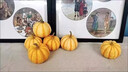 迷你金桔貝貝南瓜精品太陽(yáng)果小金瓜萬(wàn)圣節南瓜燈籠南瓜盅雕刻裝飾 0g 4個(gè)裝  單果200g 曬單實(shí)拍圖