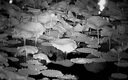 天窗紅外夜視儀夜間專(zhuān)用望遠鏡單筒高清高倍軍事夜視鏡全黑非熱成像儀 曬單實(shí)拍圖