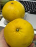 式果禮福建平和黃金葡萄柚 爆汁黃金柚子蜜柚榨汁橙西柚子酸甜新鮮水果 5斤 精選中大果【單果300g+】 曬單實(shí)拍圖