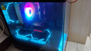 英特爾14代酷睿i5 14400F系列 RTX5060 設計游戲學(xué)習臺式電腦主機組裝電腦 配六：i5 14400F+RTX5060 曬單實(shí)拍圖