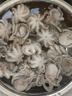 美加佳 三去迷你章魚仔 凈重1斤 火鍋八爪魚 去牙去臟小章魚 海鮮水產(chǎn) 曬單實拍圖