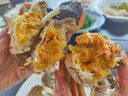 興化大閘蟹【活蟹】蟹滿(mǎn)味大閘蟹全母2.7兩-3.2兩凈重鮮活螃蟹現貨禮盒裝 全母蟹2.3兩-2.6兩十只裝【精品挑膏】 曬單實(shí)拍圖