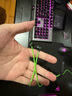 雷蛇（Razer）戰(zhàn)錘狂鯊V3有線入耳式耳機(jī)耳塞 7.1環(huán)繞聲 吃雞神器 適配三角洲行動 Type C 戰(zhàn)錘狂鯊V3 曬單實(shí)拍圖
