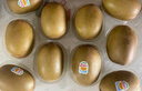 佳沛（zespri）新西蘭 陽光金奇異果12粒禮盒特大果單果約122-146g 獼猴桃 水果 曬單實拍圖