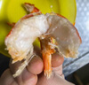 海仙津九節蝦干即食大蝦干烤蝦干對蝦干特大斑節蝦干大烤蝦海產(chǎn)干貨 【大號款】九節蝦干250g 35-45只 曬單實(shí)拍圖