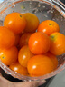 京喜加夏日陽光小番茄黃色迷戀圣女果即食水果小柿子現(xiàn)摘現(xiàn)發(fā)減肥 黃色圣女果一斤裝 曬單實拍圖