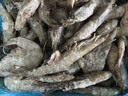 GUO LIAN國聯(lián) 國產(chǎn)鹽凍大蝦 無(wú)冰凈重3斤 特大號45-60只 白對蝦海鮮生鮮 曬單實(shí)拍圖