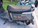 熊貓愛(ài)國車(chē)貼防水貼紙汽車(chē)摩托車(chē)遮擋劃痕國慶車(chē)尾貼畫(huà)車(chē)身裝飾貼 霸氣熊貓B款【小號10厘米】 曬單實(shí)拍圖
