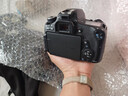 佳能/Canon 500D 600D 700D 800D 850D學(xué)生入門(mén)拍照攝像高清旅游 二手單反相機 99新 佳能760D 單機身 標配 曬單實(shí)拍圖