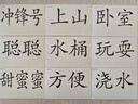 高中總復習自選】26新版五年高考三年模擬53a53b五三A五三B 5年高考3年模擬高中一二三輪總復習 高三復習資料25新高考 五三高考 【2026新高考版】B版 英語(yǔ) 曬單實(shí)拍圖