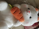 優(yōu)羽卡通胡蘿卜兔子玩偶睡覺(jué)抱安撫娃娃小白兔公仔小號布偶毛絨玩具 白色 40厘米[高彈PP棉填充] 曬單實(shí)拍圖