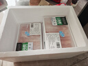 草地羊鮮生 寧夏灘羊原切羊肉卷1斤 羊肉生鮮羔羊肉片肥羊卷涮火鍋 源頭直發(fā) 曬單實(shí)拍圖
