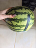 【產(chǎn)地直采】麒麟奶油西瓜 約5.5kg 曬單實拍圖