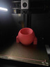 拓竹P1SC 3D打印機桌面家用FDM全自動調(diào)平大尺寸多色高速3d打印機器【大陸版】 曬單實拍圖