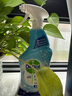 滴露（Dettol）浴室清潔劑750ml玻璃廁所衛(wèi)生間馬桶清潔劑泡沫潔廁液噴霧除霉劑 曬單實(shí)拍圖