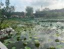 吉列剃須刀手動(dòng) 鋒速3 刮胡刀手動(dòng)京東自營(yíng)旗艦店  男士實(shí)用禮物 3層刀片 1刀架6刀頭+50g剃須膏 非吉利 曬單實(shí)拍圖