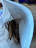 網(wǎng)易嚴選 寵物凍干零食寵物零食犬貓零食通用凍干多春魚(yú) 25g 曬單實(shí)拍圖