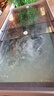 榮事達養魚(yú)冰箱魚(yú)缸商用飯店冰柜海鮮過(guò)濾制氧一體機臥式展示柜制冷機 【視窗款】1.2米/304不銹鋼/過(guò)濾增氧一鍵排水 曬單實(shí)拍圖